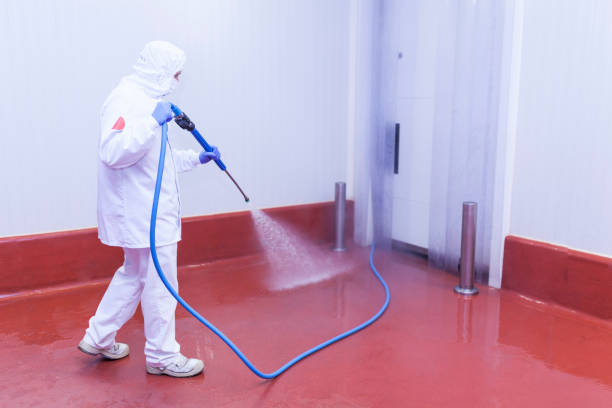 Best Brick and Stone Cleaning in Red Wing, MN
